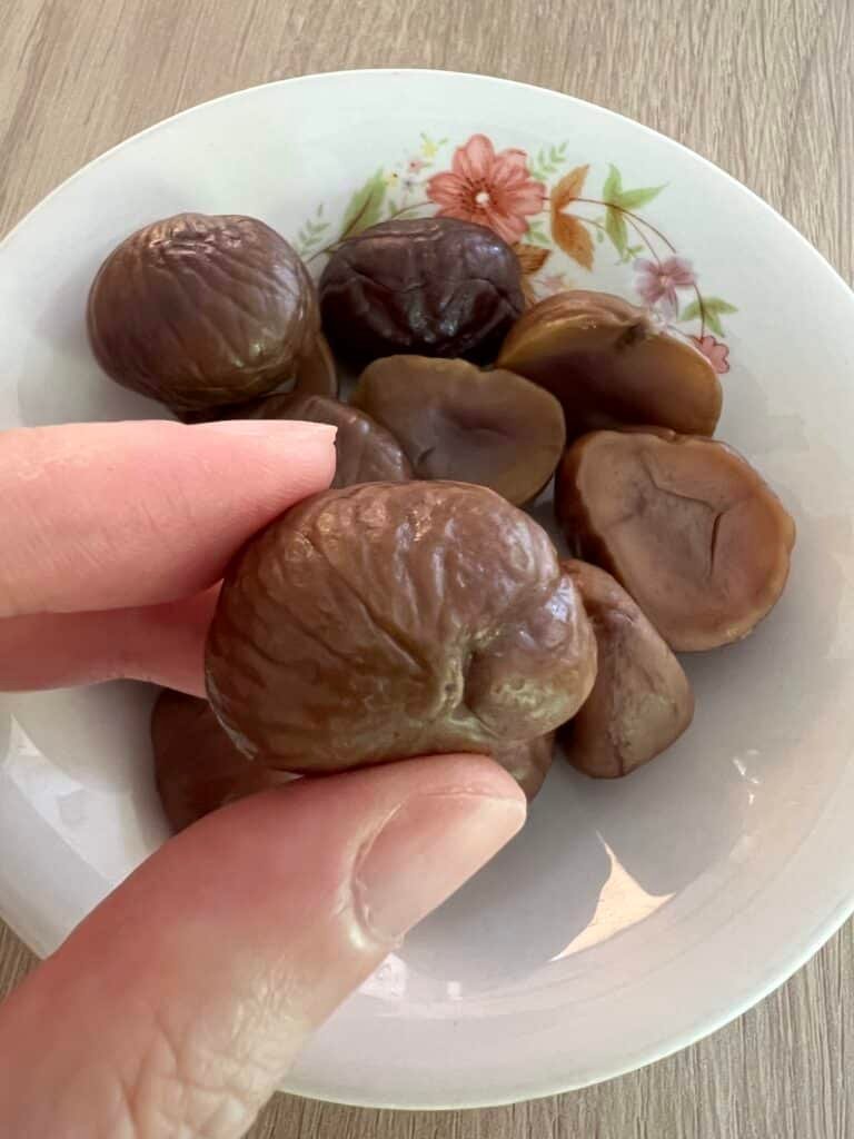 IMG_5267 svg+xml;charset=utf