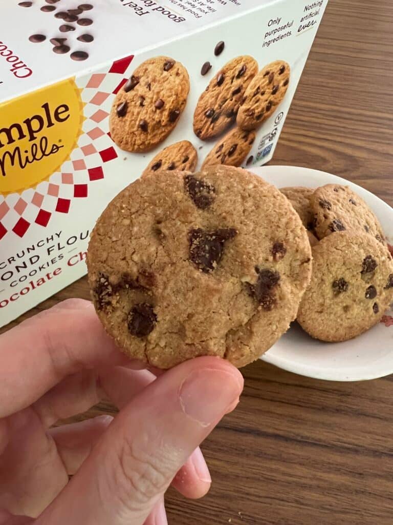 IMG_5298 svg+xml;charset=utf