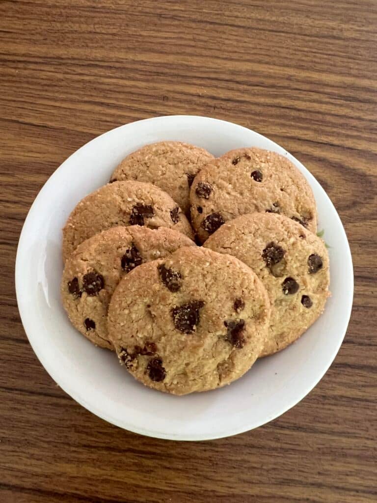 IMG_5300 svg+xml;charset=utf