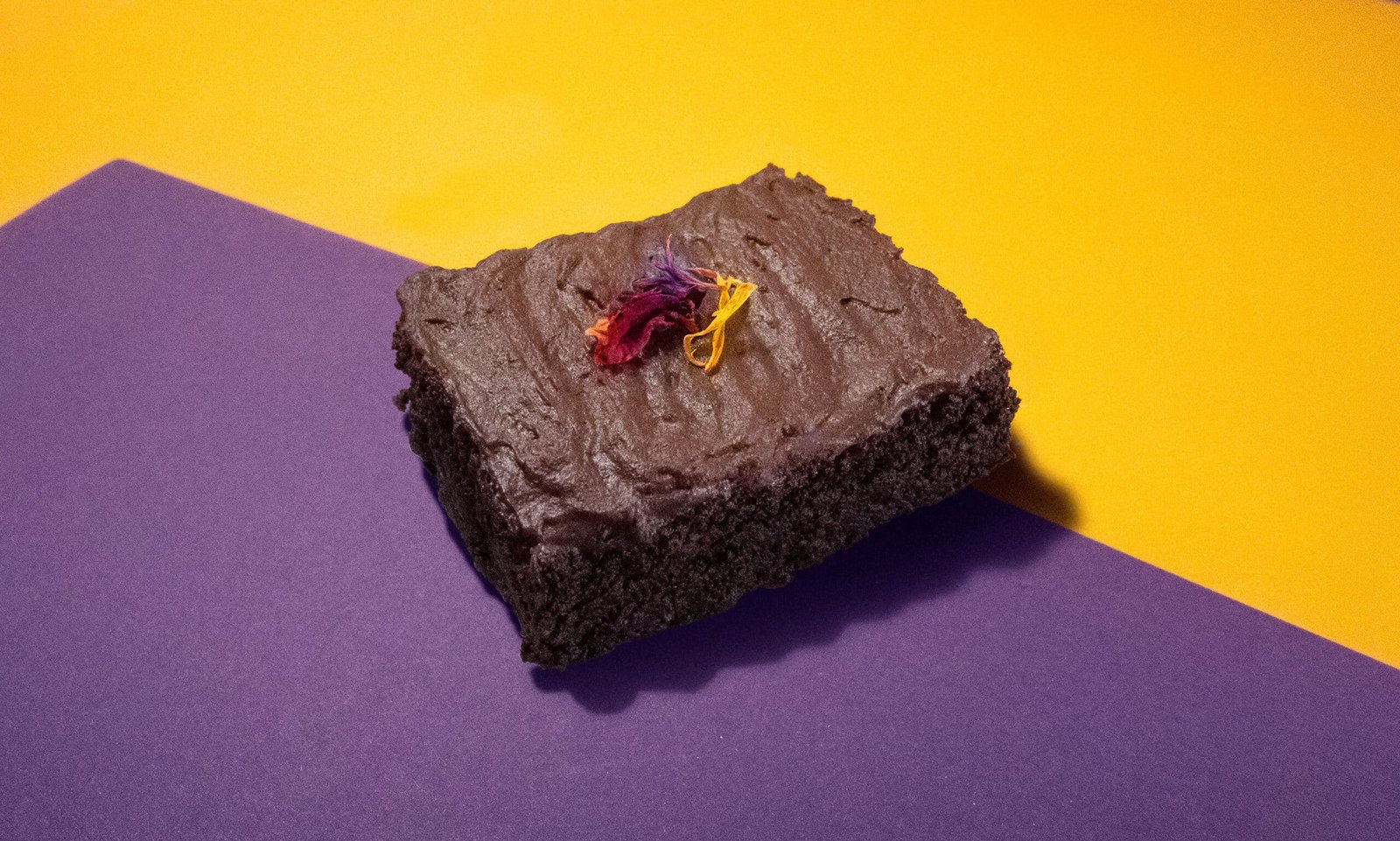 Brownie 01 scaled