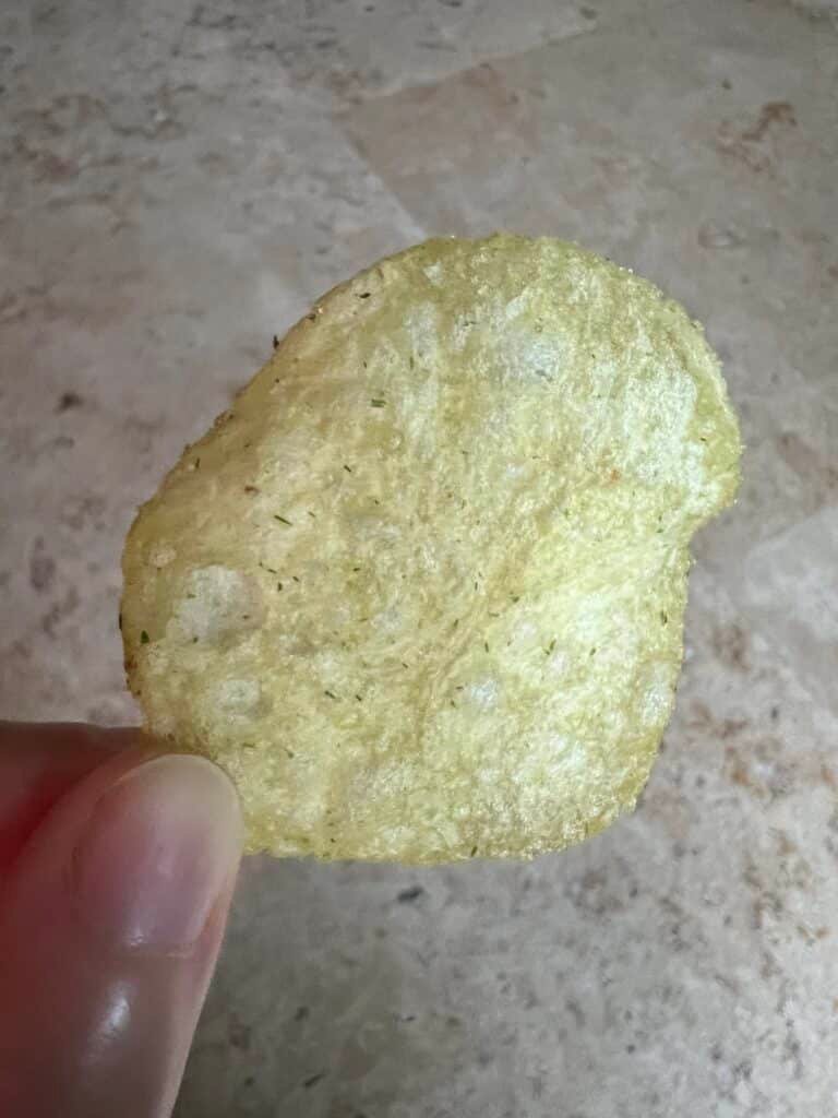 IMG_5555 svg+xml;charset=utf