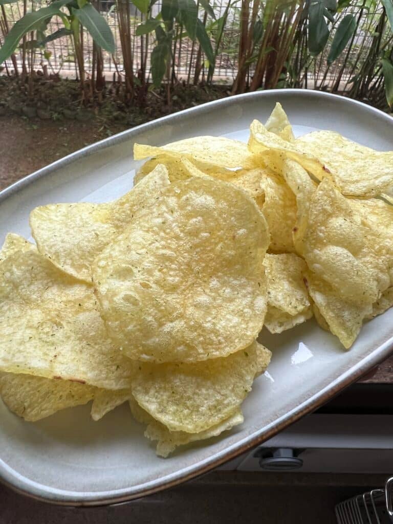 IMG_5560 svg+xml;charset=utf